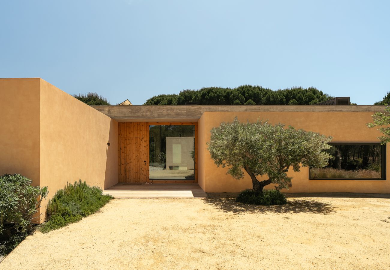 Villa in Carvalhal - The Olive Grove