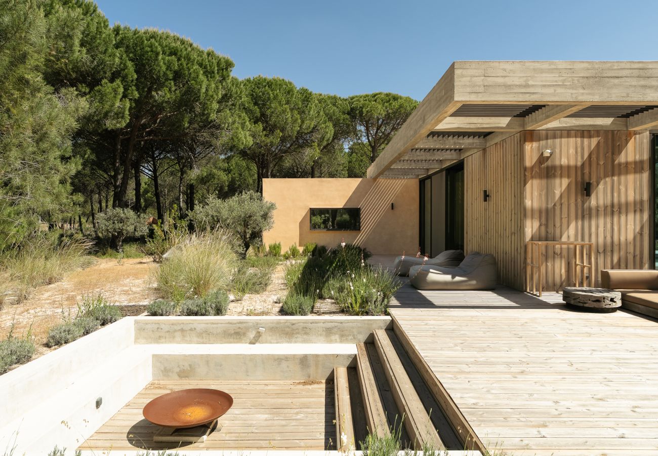 Villa in Carvalhal - The Olive Grove