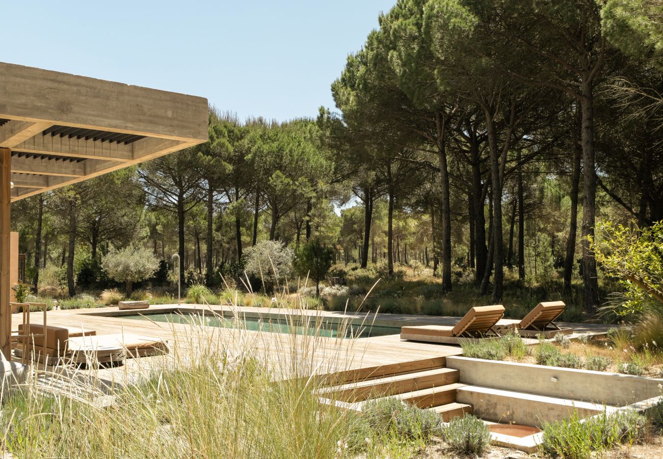 Villa in Carvalhal - The Olive Grove
