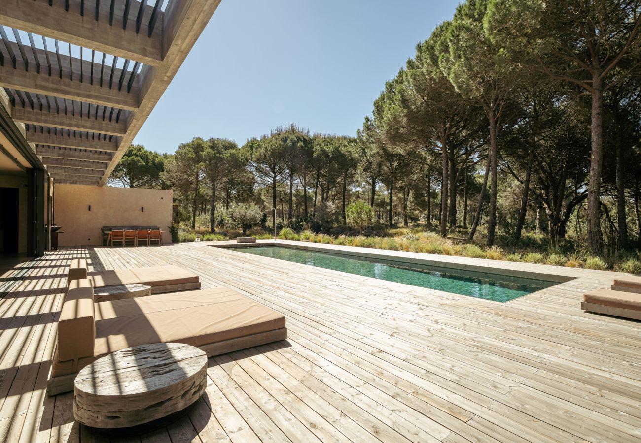 Villa in Carvalhal - The Olive Grove