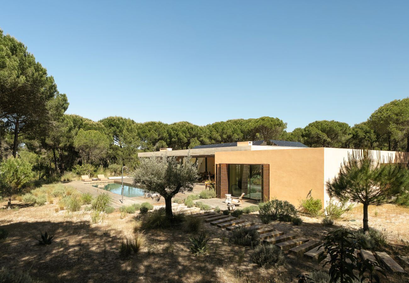 Villa in Carvalhal - The Olive Grove