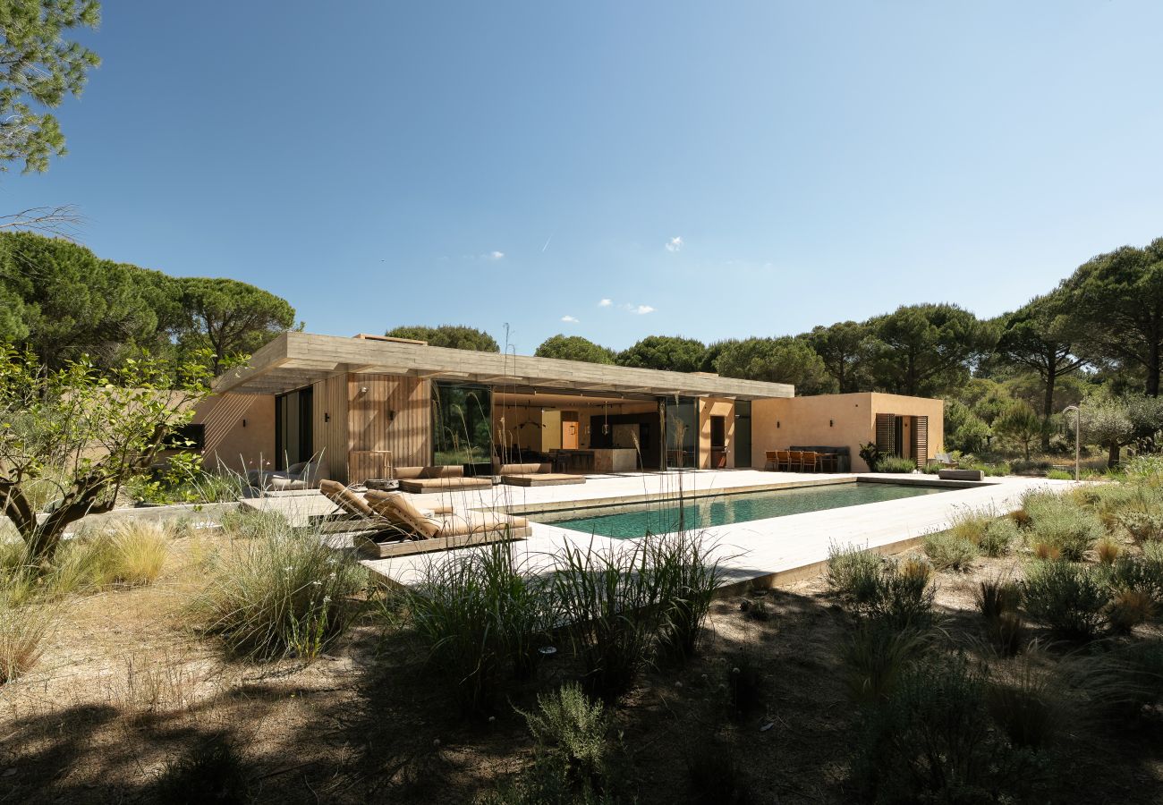 Villa in Carvalhal - The Olive Grove
