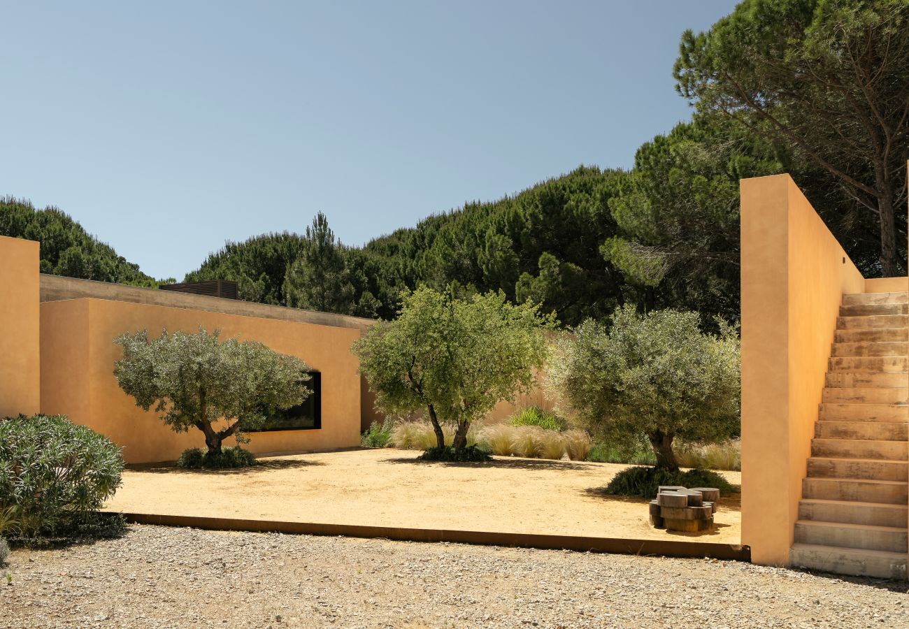 Villa in Carvalhal - The Olive Grove