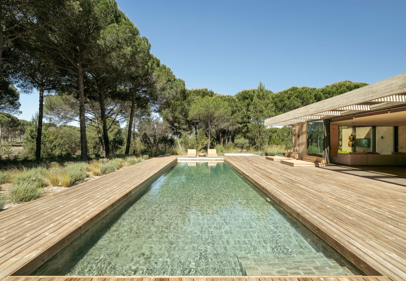 Villa in Carvalhal - The Olive Grove