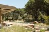 Villa in Carvalhal - The Olive Grove