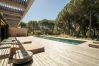 Villa in Carvalhal - The Olive Grove