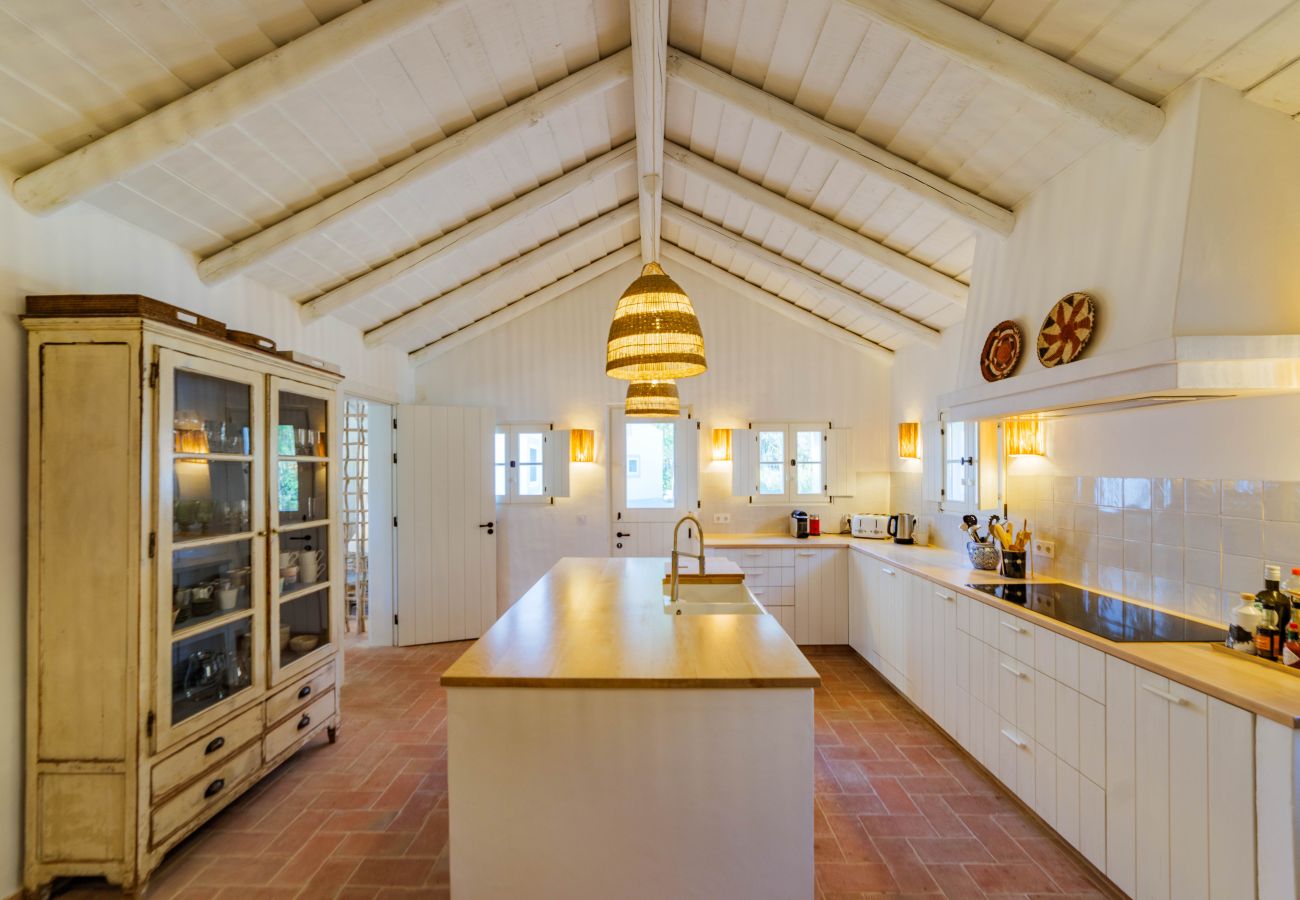 Villa in Carvalhal - Villa Noma