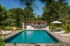 Villa in Carvalhal - Villa Noma
