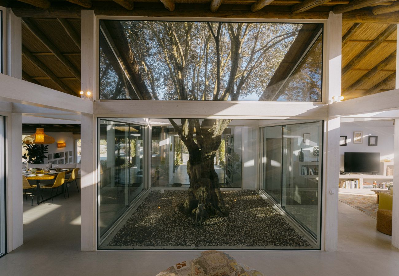 Villa in Brejos da Carregueira de Cima - Villa Fuji
