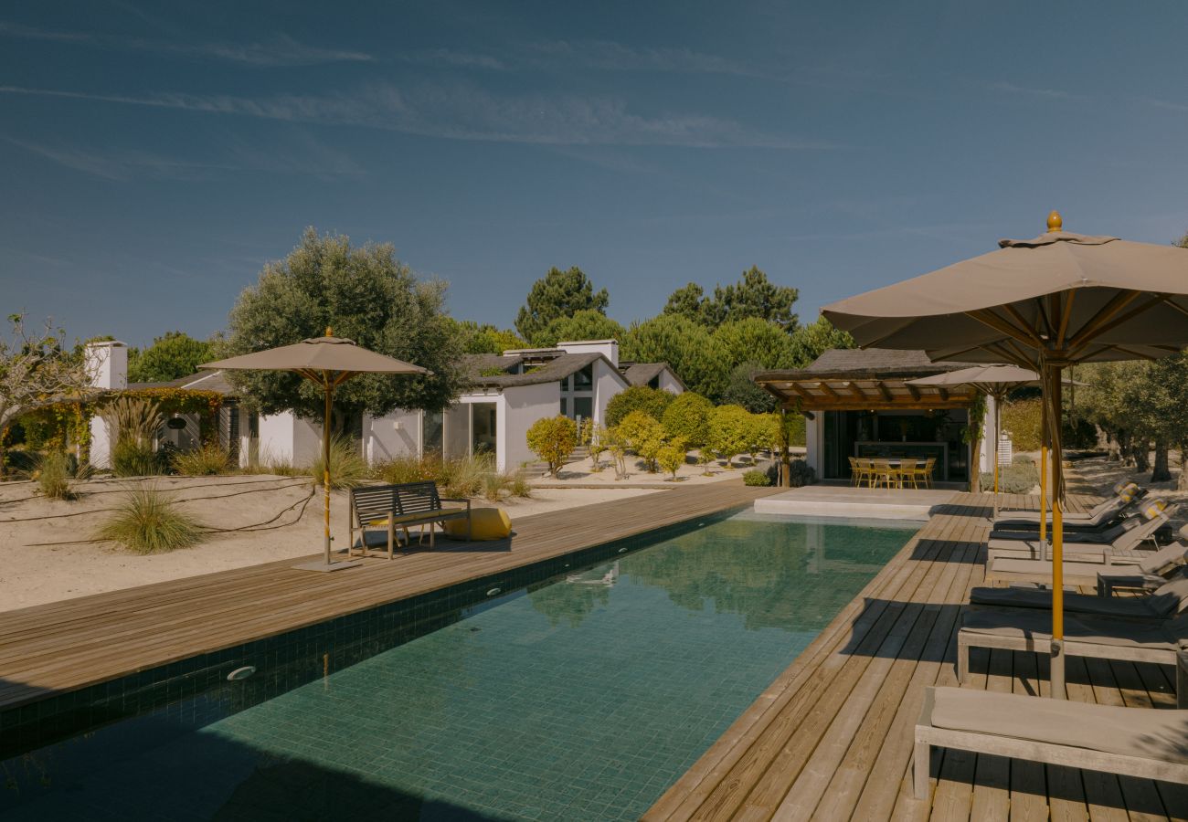 Villa in Brejos da Carregueira de Cima - Villa Fuji